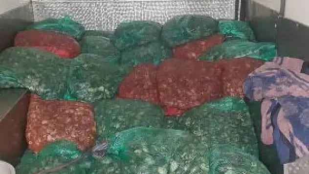 Edirne'de 'kum midyesi' operasyonu