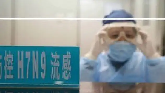 Çin'de yeni tür kuş gribi