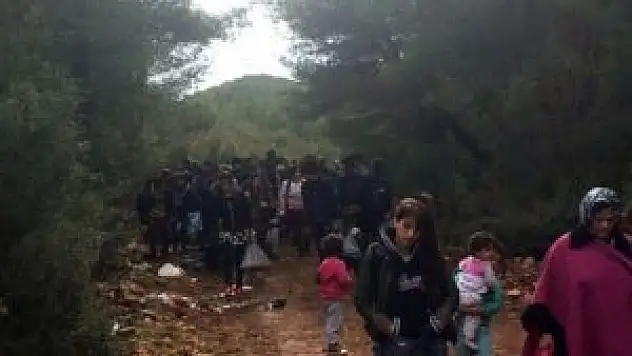 Antalya'da 104 sığınmacı yakalandı