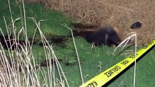 Yaşlı adam su kanalında ölü bulundu