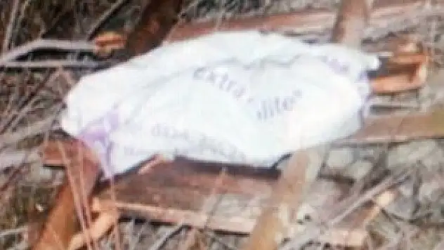 Kayıp dedikleri babalarını öldürüp ormana gömmüşler