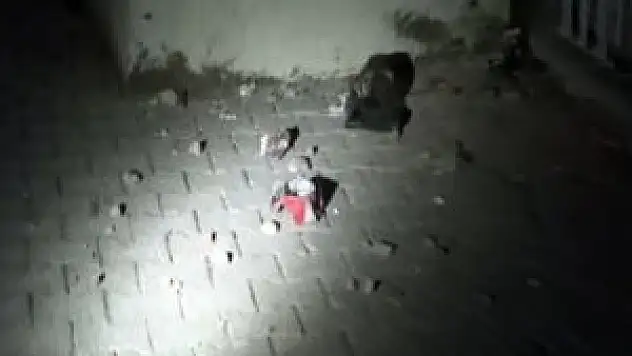 Batman'da bir okula el yapımı bomba atıldı