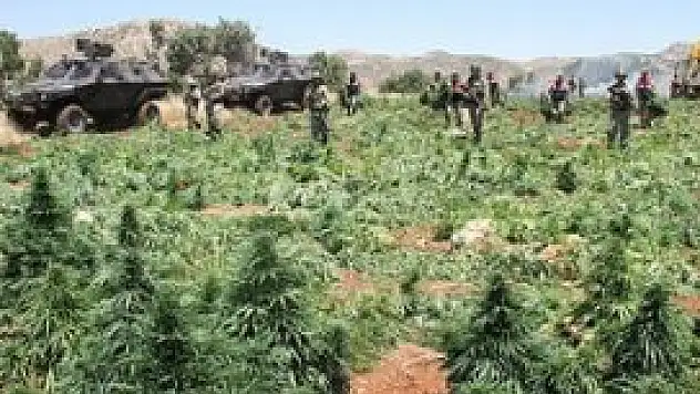 Operasyonlar suç unsuru tespit edilen yerlere yapılmaktadır