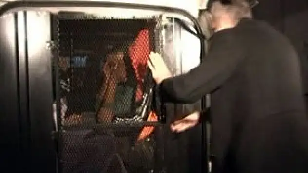 İzmir'de at eti operasyonu: 14 at kesilmiş halde bulundu