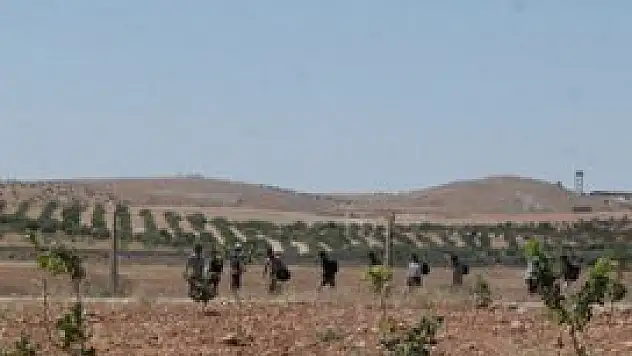 Suriye sınırında bir kaçakçı öldü