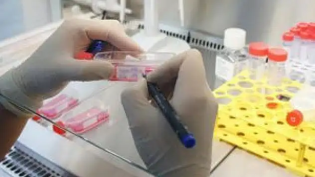 'Türkiye'de 16 kişiden 1'i nadir hastalıktan mağdur'