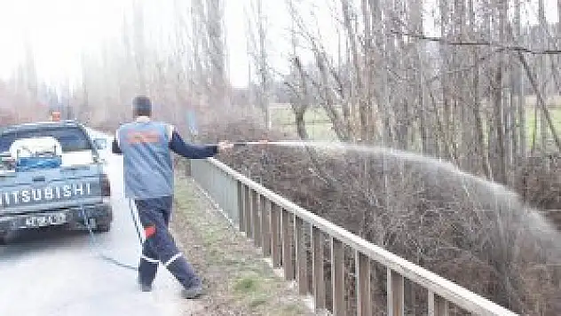 Beyşehir'de larva mücadelesi hız kazandı