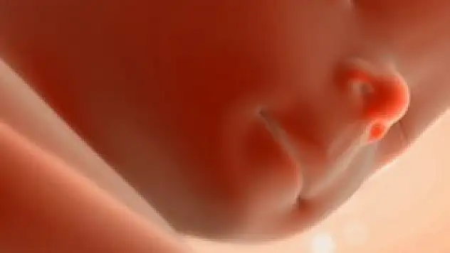 Kısırlığın sonu mu geliyor?