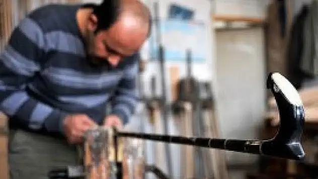 Çöpteki boynuzlar baston oluyor