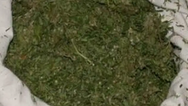 Konya'da 19 kilogram esrar ele geçirildi