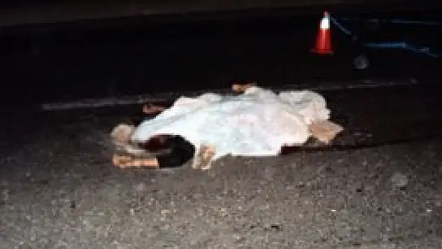 3 araç çarptı feci şekilde can verdi