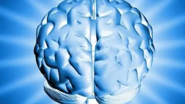 Zihin gelişiminde 'bor' mucizesi