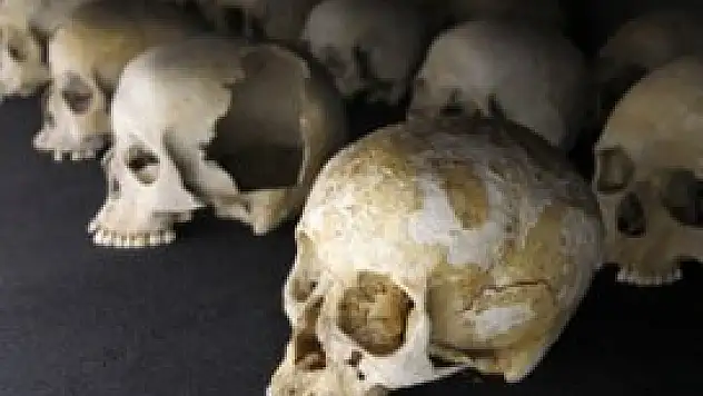 Avusturya'da bir evde 56 kafatası bulundu