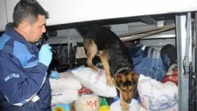 Karabiber arasında esrar sevkiyatı