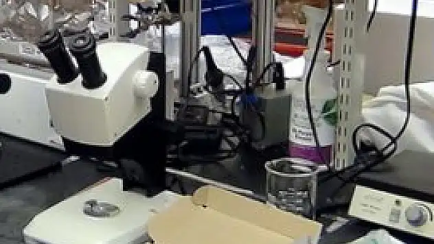 Japon bilim adamlarından dünyada bir ilk