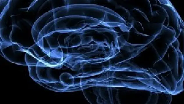 Alzheimer'da kaybolan hafıza parçaları geri gelir mi?