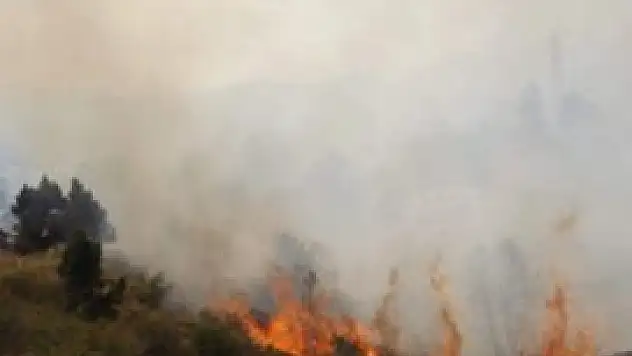 Seydişehir'de 5 hektarlık orman yangında zarar gördü