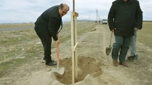 Karapınar'da fidan dikim çalışmaları
