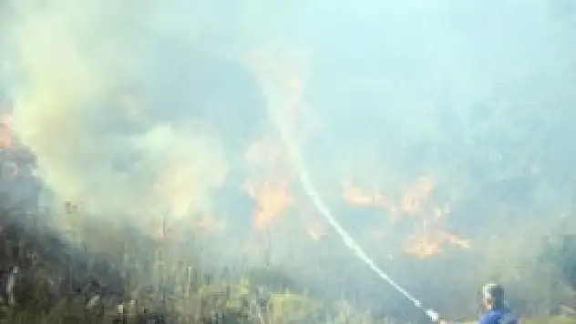 Bodrum'da orman yangını