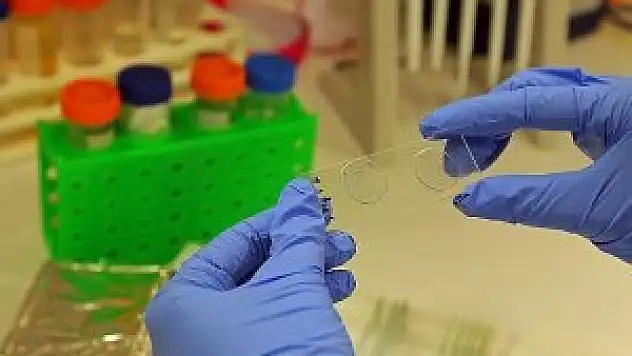 Bilim adamları Zika virüsünü klonladı