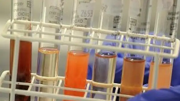 Kanser tedavisinde 'immünoterapi' dönemi