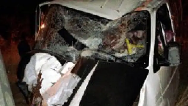 Pencereden giren kediler kaza yaptırdı! 2 yaralı