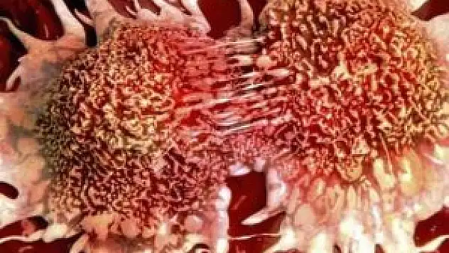 Kanserin geri dönüşü engellenebilir