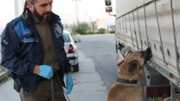 Burası şeytanın aklına gelmez!