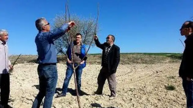 Seydişehir'de çiftçilere budama eğitimi