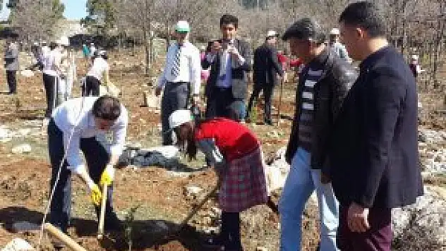 Derebucak'ta fidan dikme etkinliği