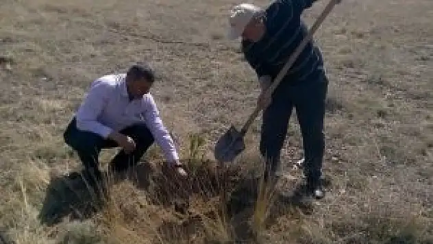 Genç Altınekinliler fidan dikti