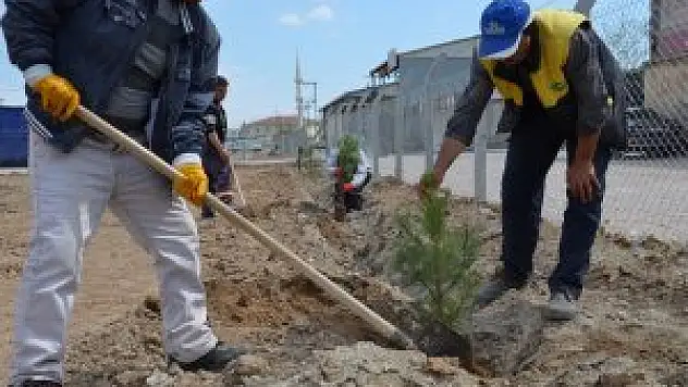 Karatay'da ağaçlandırma çalışmaları