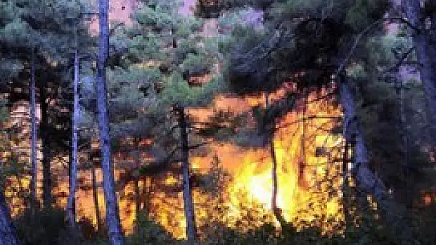 Türkiye'nin akciğerleri yanıyor