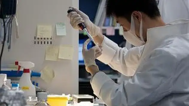 Sıtma tedavisinde 'genetik tuzak' keşfi