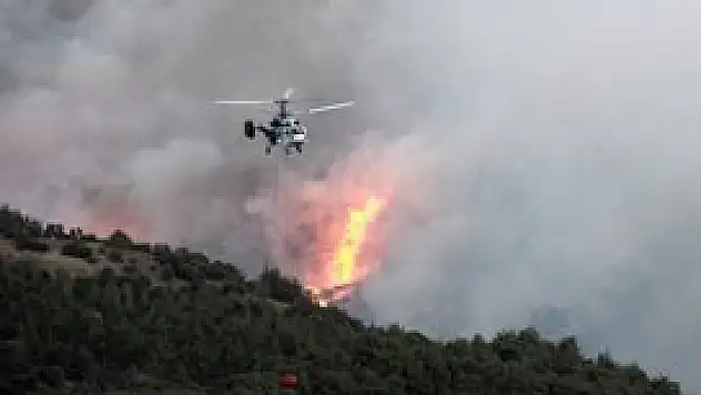 Yanan orman alanında ranta geçit yok