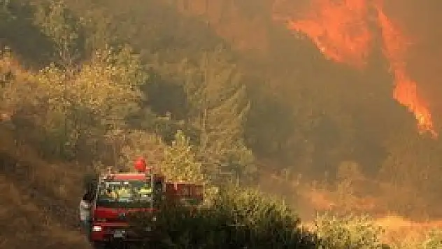 Bin hektar orman alanı zarar gördü