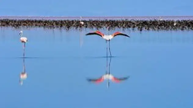 Türkiye'den 41 varlık 'Dünya Mirası Geçici Listesi'nde