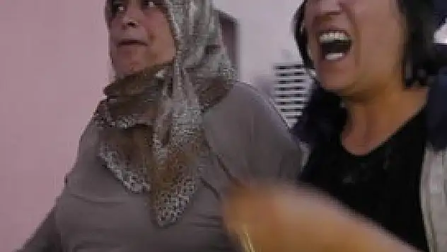 Dilini eşşek arısı soktu