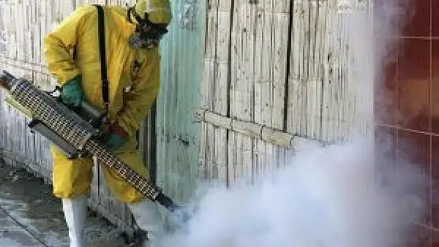 Zika virüsü daha da tehlikeli olabilir