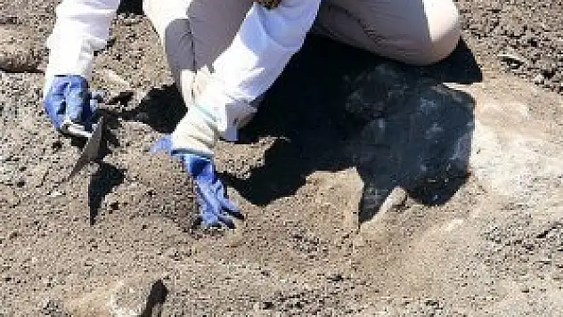 230 milyon yıllık sürüngen ayak izi fosili bulundu