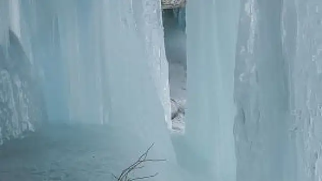 Buz Devri'nin sırları çözülüyor