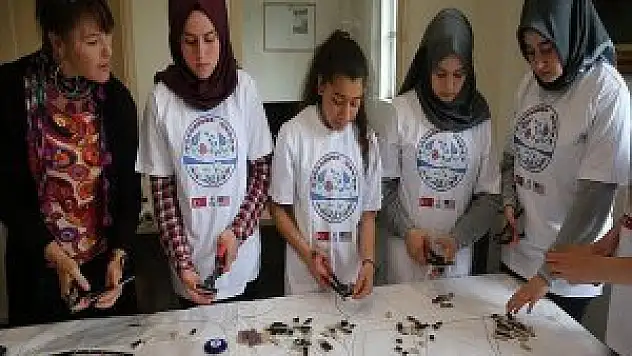 'Mozaik Projesi' hayata geçiyor