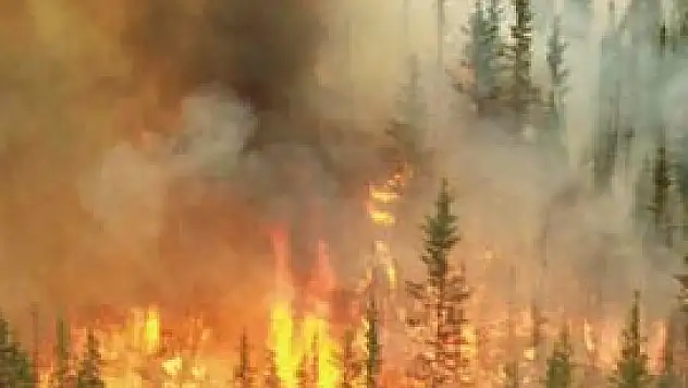 Konya'da yangın paniği!