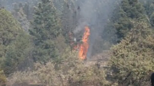 Konya'da orman yangını
