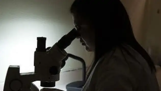 Zika virüsü beyin hücrelerini küçültüyor