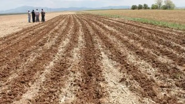 Çumra'da 'Şeritvari Ekim İşleme' projesi