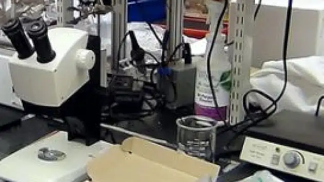 Japon bilim adamlarından dünyada bir ilk