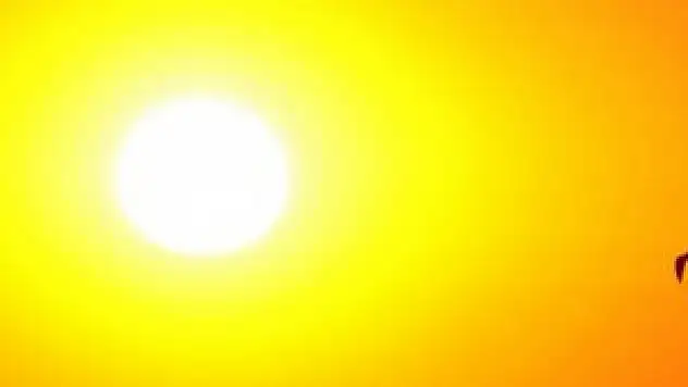 SLE hastalarında güneş riski