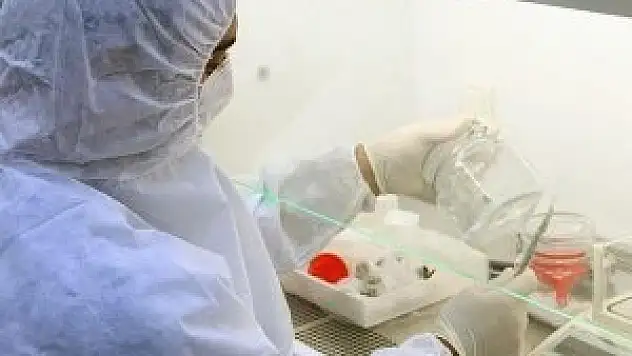 'Helal' kemik tozu için düğmeye basıldı