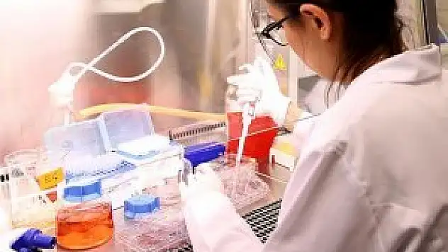 Türk bilim insanları kalp kası dokusu geliştirdi